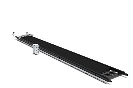 Coupeur de laser de tôle de format ultra grand 24000mmx2500mm pour le feuillard